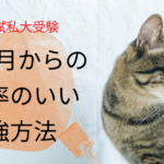 一般入試私大受験11 月からの効率のいい勉強方法　　